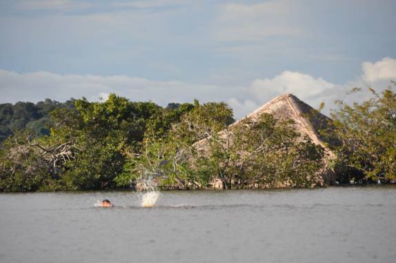 A caminho da praia, nadando, em Alter do Chão - PA